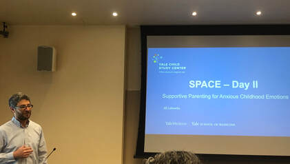 SPACE training session for psychologists attended by Dr. Eli Penela in February 2020 with Yale child psychologist, Dr. Eli Lebowitz. 